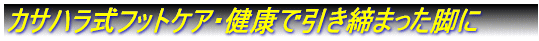 �J�T�n�����t�b�g�P�A